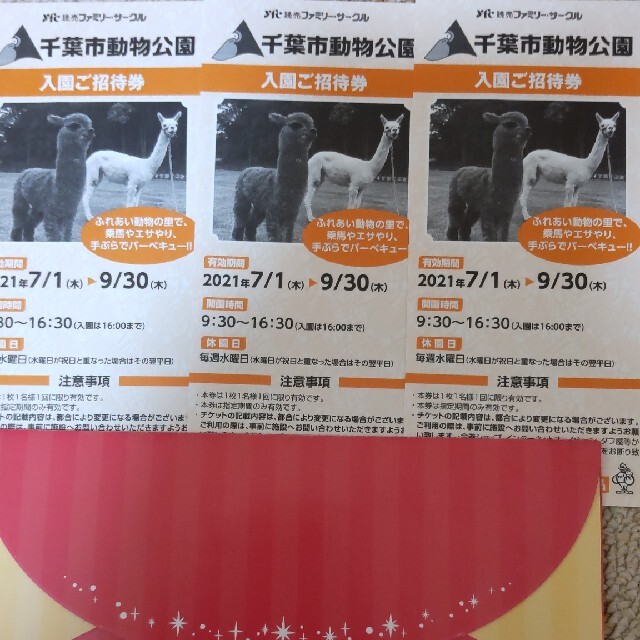 千葉市動物公園　招待券　2枚