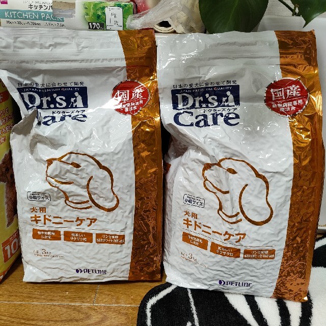 キドニーケア犬用 | bombaytools.com