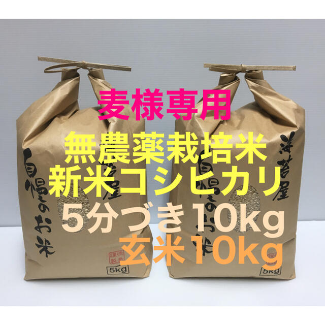 完成品 HIppo様専用 農薬無し純こしひかり10㎏ 玄米10㎏ 5分つき