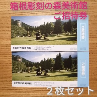 箱根 彫刻の森 美術館 招待券 ペア(美術館/博物館)