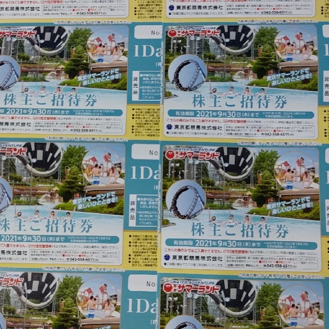 最大80%オフ! 複数可 4枚 東京サマーランド 株主ご招待券 1DAYパス