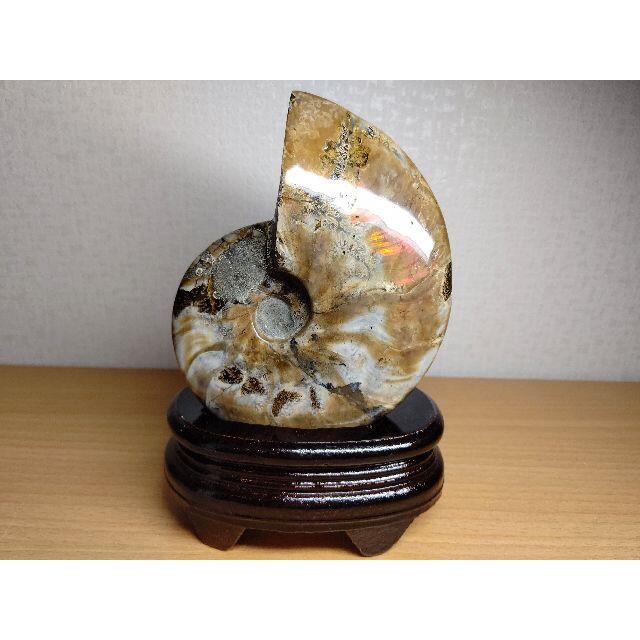 アンモライト化 827g 化石 アンモナイト 宝石 ジュエリー 原石