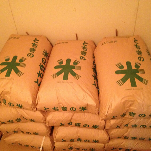 栃木県産　３０キロ　令和2年度　低農薬栽培　コシヒカリ　米/穀物