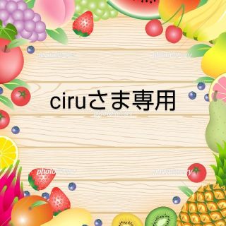 ciruさま 専用  ドライフルーツおまとめ(フルーツ)