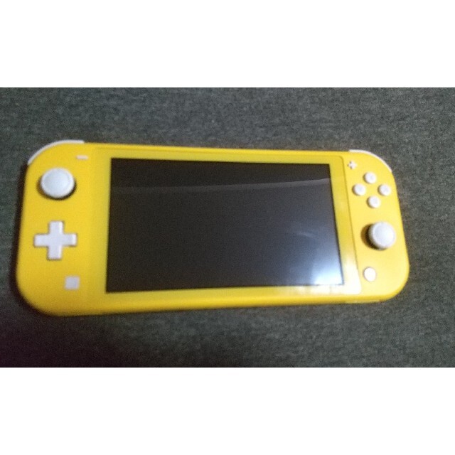 Switch lite & マリオカート & 充電器