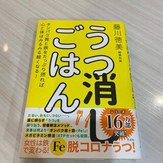 うつ消しごはん　藤川徳美(健康/医学)