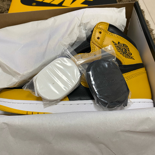 Jordan1 retro high og pollen