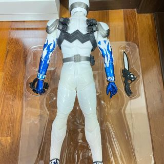 FIG} リアルアクションヒーローズ RAH DX 仮面ライダーエターナルの