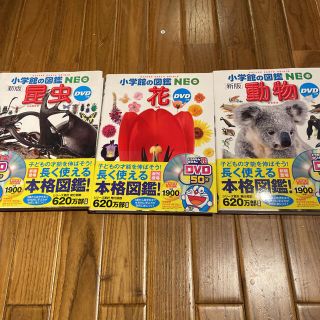 ショウガクカン(小学館)の動物　花　昆虫　3冊セット(絵本/児童書)