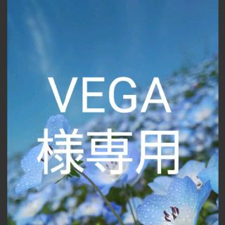 VEGA様専用(その他)