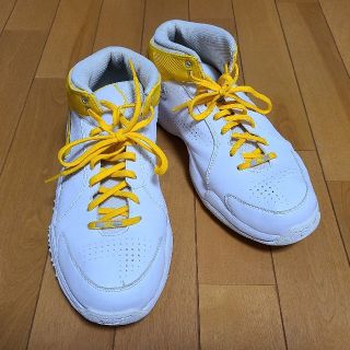 ナイキ(NIKE)のNIKE　スニーカー　バッシュ　２９cm(スニーカー)