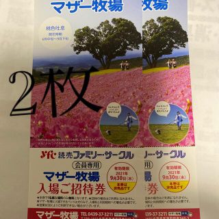 マザー牧場 入場ご招待券2枚　ゆうパケットで発送(動物園)