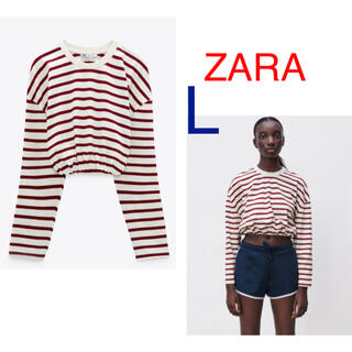 ザラ Tシャツ(レディース/長袖)（ストライプ）の通販 22点 | ZARAの 