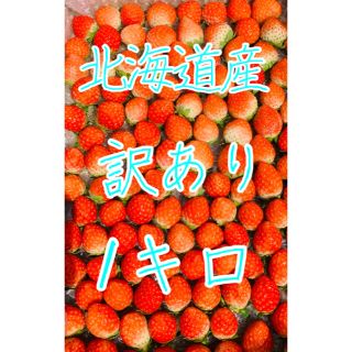 夏いちご　1キロ　訳あり　北海道産　クール便(フルーツ)