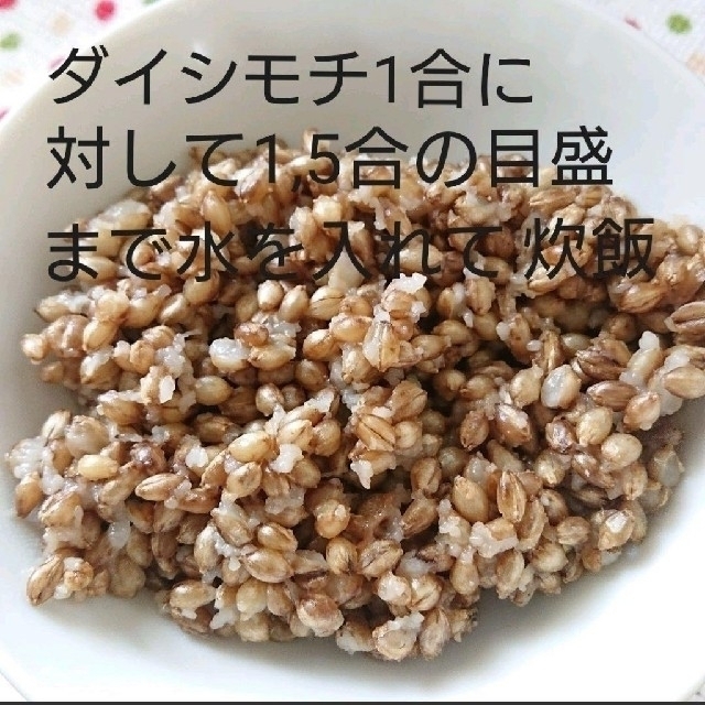 令和3年産 ダイシモチ 玄麦 食品/飲料/酒の食品(米/穀物)の商品写真