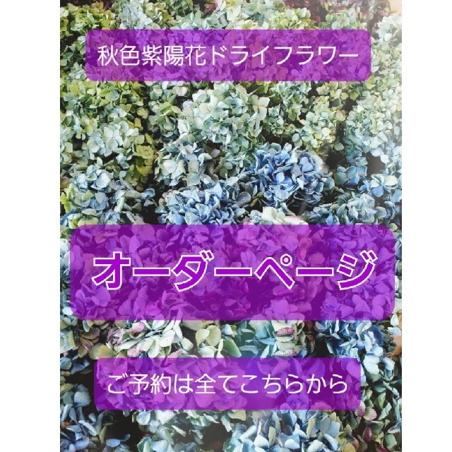 ドライフラワー 秋色紫陽花 purple＆ブルー 横長スワッグ