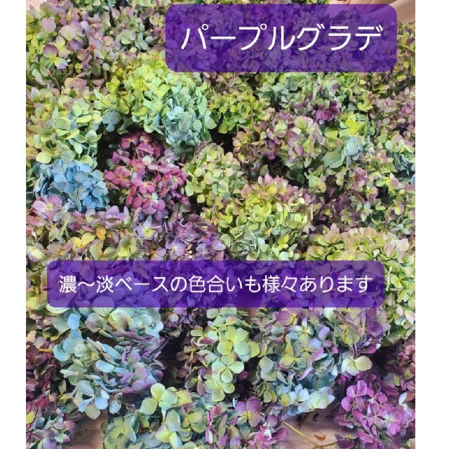 秋色紫陽花ドライフラワー♡オーダーページ