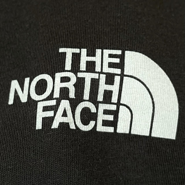 THE NORTH FACE(ザノースフェイス)のレアカラー ☆ 新品 ノースフェイス アームロゴ ロンT 黒 3XL 4L メンズのトップス(Tシャツ/カットソー(七分/長袖))の商品写真