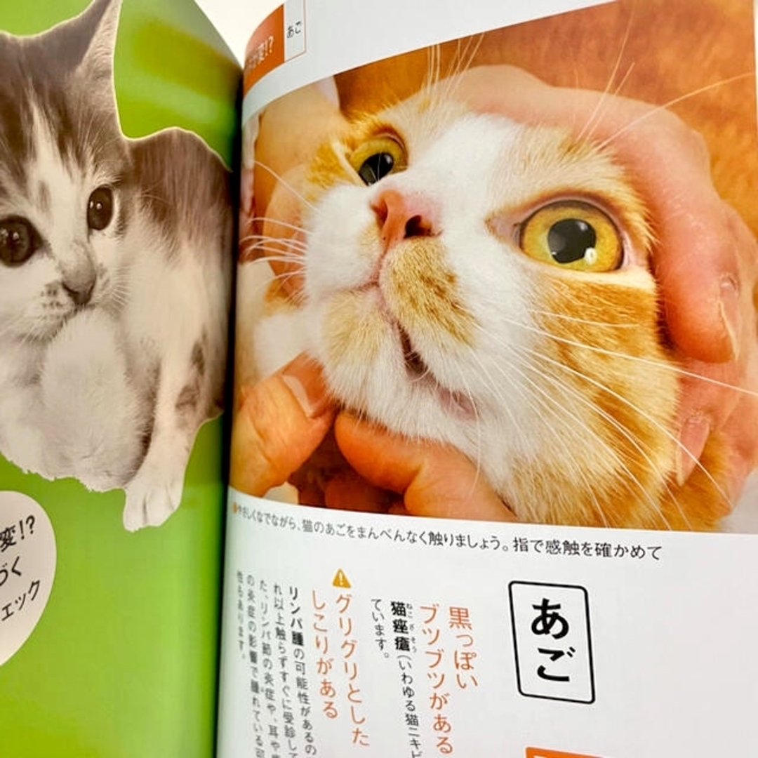 Benesse(ベネッセ)の愛猫の家庭の医学辞典 改訂版 ねこのきもち 付録 エンタメ/ホビーの雑誌(その他)の商品写真