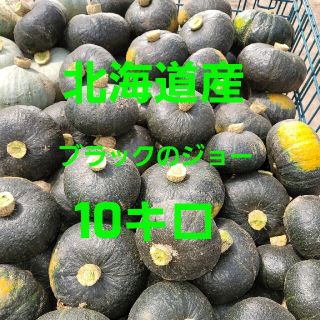 かぼちゃ(ブラックのジョー)(野菜)