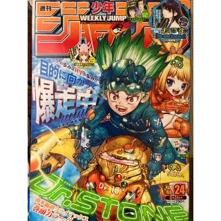 週刊少年ジャンプ　24号　Dr.stone 僕のヒーローアカデミア　マッシュル(少年漫画)