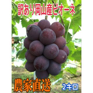 (訳あり)農家直送ピオーネ2キロ(フルーツ)