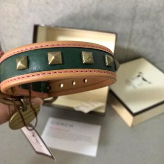 コーチ(COACH)の首輪　Coachのスタッズ　グリーン本革(リード/首輪)