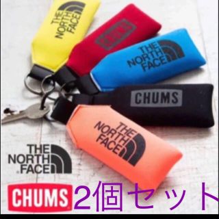 ザノースフェイス(THE NORTH FACE)の【jun03454様専用】ノースフェイス2点セット(キーホルダー)