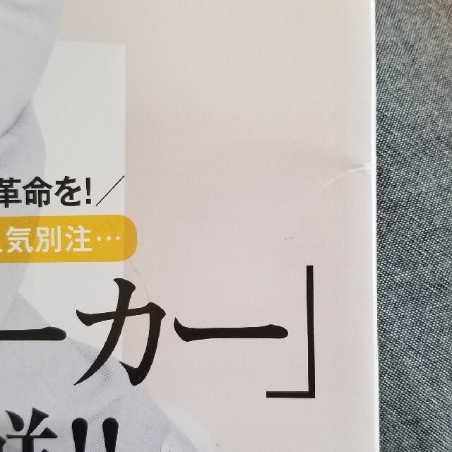 集英社(シュウエイシャ)のLEE　9月号　コンパクト版 エンタメ/ホビーの雑誌(ファッション)の商品写真