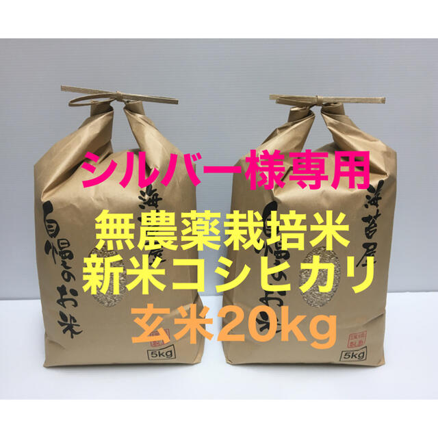 シルバー様専用 新米 無農薬コシヒカリ玄米20kg(5kg×4)令和3年 徳島産 食品/飲料/酒の食品(米/穀物)の商品写真