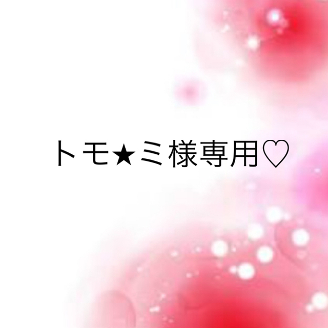 トモ☆ミ様専用♡ 逆輸入 www.toyotec.com