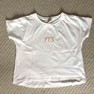 TES /テス　アメリカンコットン　ロゴTシャツ　XSサイズ(Tシャツ(半袖/袖なし))