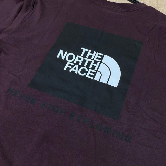 THE NORTH FACE(ザノースフェイス)の新品 ノースフェイス 長袖 Tシャツ ロンT 海外限定 Sサイズ メンズのトップス(Tシャツ/カットソー(七分/長袖))の商品写真