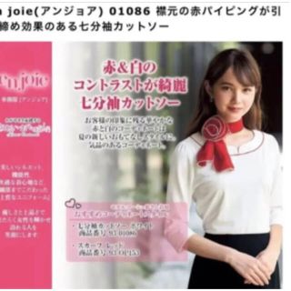 ジョア(Joie (ファッション))のアンジョア　ブラウス　9号プルオーバー　2枚(シャツ/ブラウス(長袖/七分))