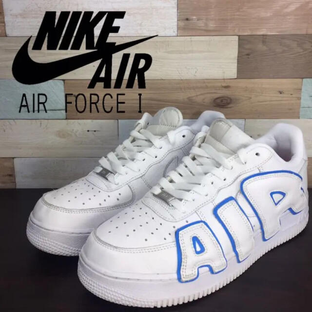 NIKE AIR FORCE 1 LOW × CACTUS PLANT 27cm