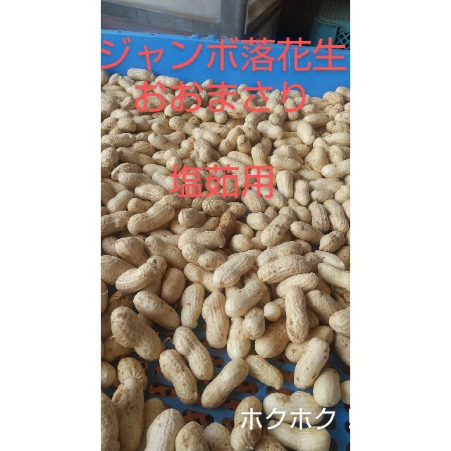 落花生おおまさりニキロ箱込み土つきの通販 by ダッチ shop|ラクマ