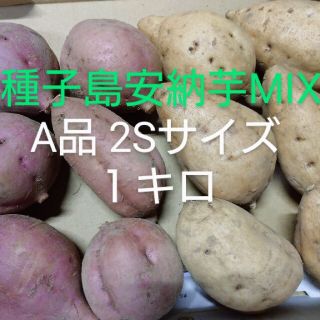 種子島 安納芋MIX 2S １キロ(野菜)