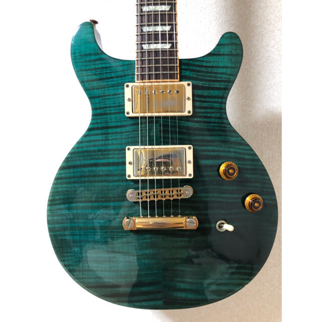Gibson(ギブソン)のswtnb様専用Gibson Les Paul Standard DC Plus 楽器のギター(エレキギター)の商品写真