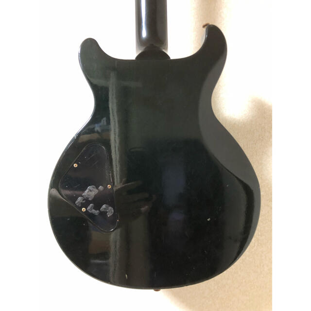 Gibson(ギブソン)のswtnb様専用Gibson Les Paul Standard DC Plus 楽器のギター(エレキギター)の商品写真