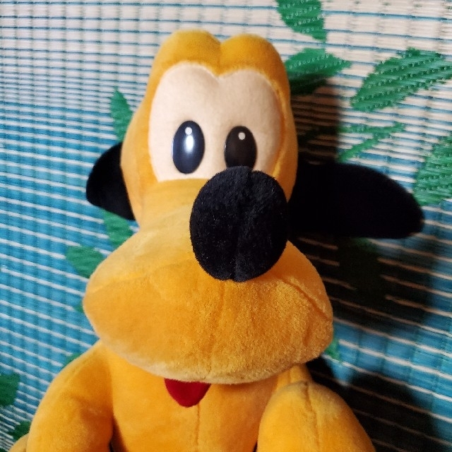 未使用品 ディズニー プルートビックぬいぐるみ お値下げしました 未使用新古品 エンタメ ホビー おもちゃ ぬいぐるみ Ppk Usni Ac Id 未使用品 ディズニー プルートビックぬいぐるみ お値下げしました 未使用新古品 エンタメ ホビー おもちゃ ぬいぐるみ Ppk Usni Ac Id