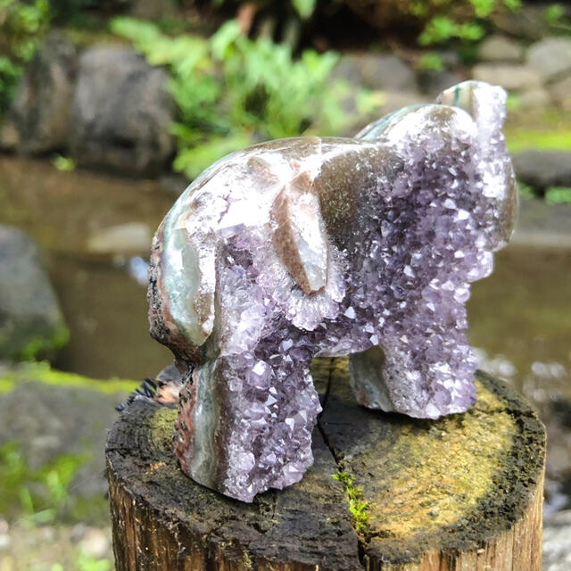 アメジスト　原石　象さん　紫水晶　ウルグアイ 6