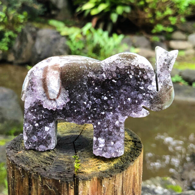 アメジスト　原石　象さん　紫水晶　ウルグアイ 8