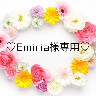 ♡Emiria様専用♡(ピアス)