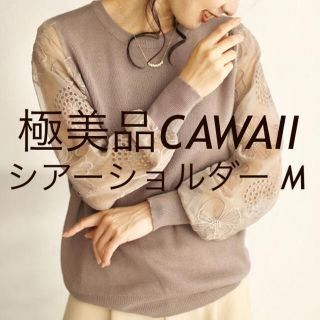 カワイイ(cawaii)の極美品　腕に咲く満開の花。シアーショルダートップス　ブラウン　M(ニット/セーター)