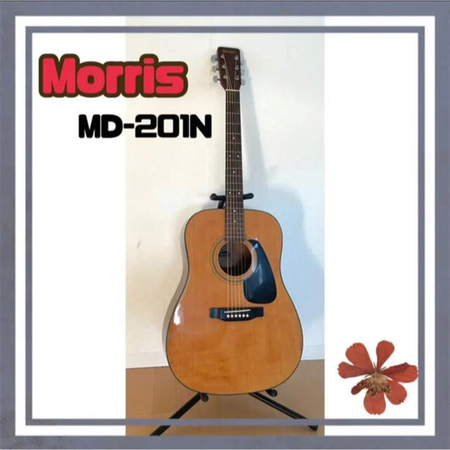 380 送料無料 Morris アコースティックギター MD-201N