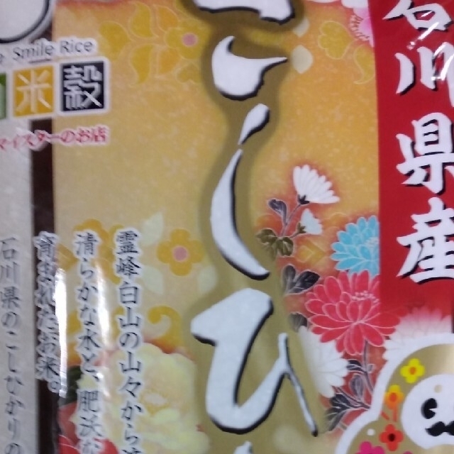 無洗米　コシヒカリ　20kg