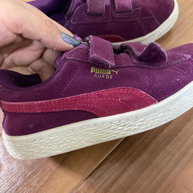 PUMA(プーマ)のプーマ　スウェード　スニーカー キッズ/ベビー/マタニティのキッズ靴/シューズ(15cm~)(スニーカー)の商品写真