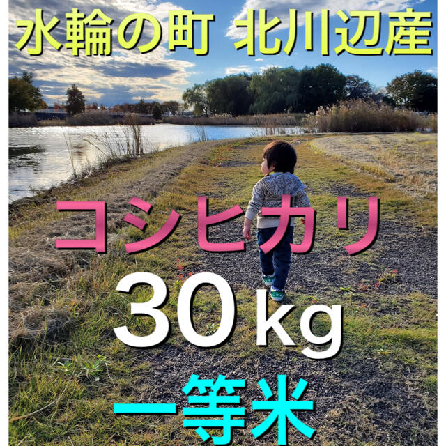 一部予約販売中】 引取限定❣️新米（令和3年）コシヒカリ玄米30キロ（埼玉県北川辺産）☆農家直売 米/穀物