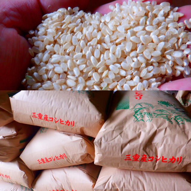 コシヒカリ玄米　8キロプラス