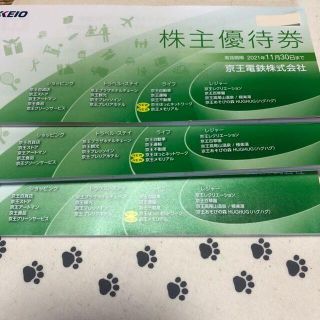 今月期限　在庫処分　3冊　京王電鉄　株主優待券　京王百貨店割引券など(その他)